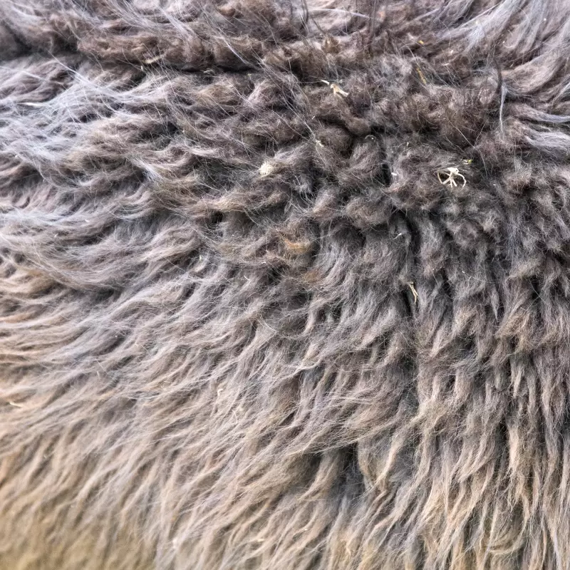 Detailansicht der Alpakawolle in Nahaufnahme